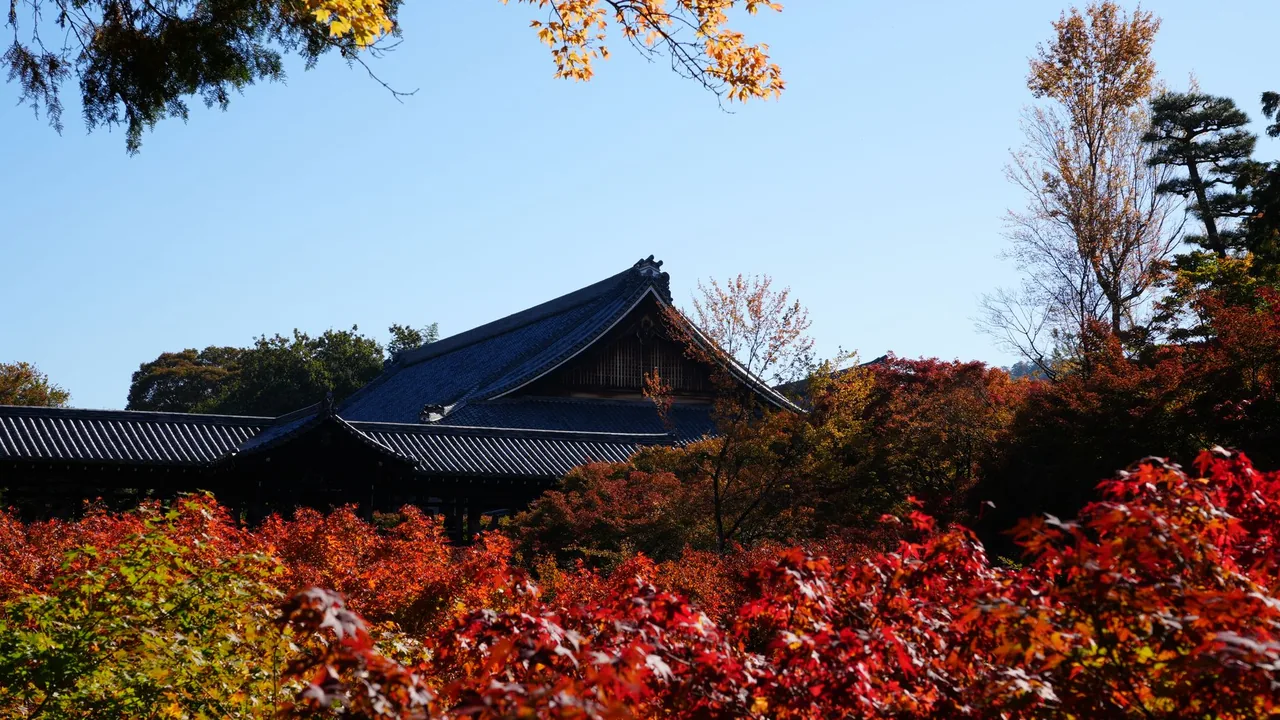 Korean Day Master Test — The SJPJ Personality Test Trending as Korea's New MBTI